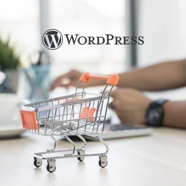 guida-sviluppo-e-commerce-wordpress-conceptio