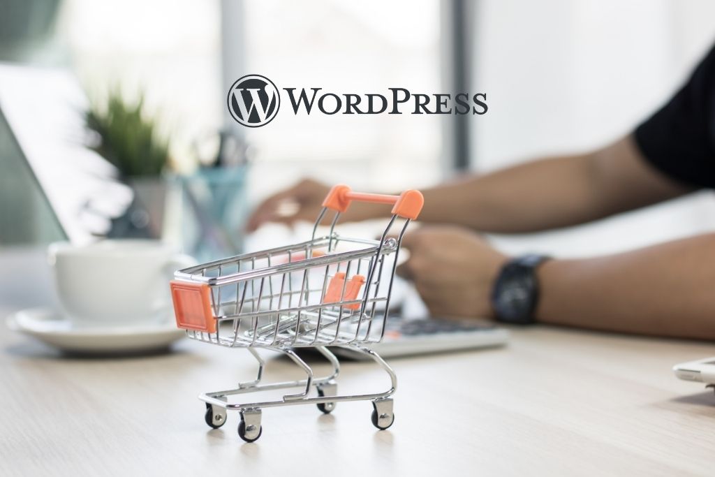 guida-sviluppo-e-commerce-wordpress-conceptio