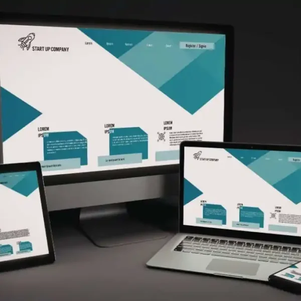 sito-web-responsive-conceptio