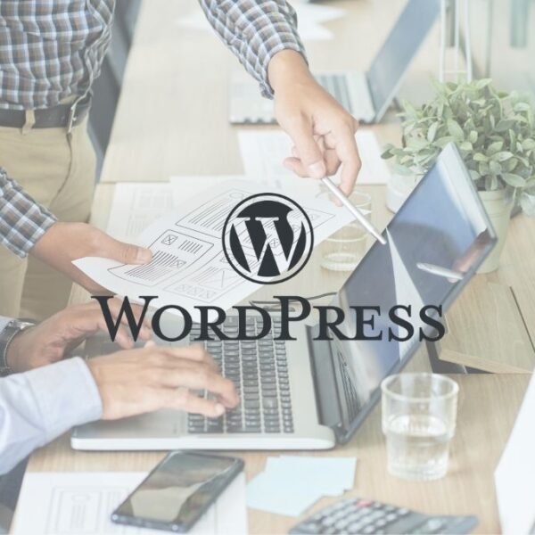 sviluppo-siti-wordpress-consigli-per-migliorare-le-prestazioni-conceptio