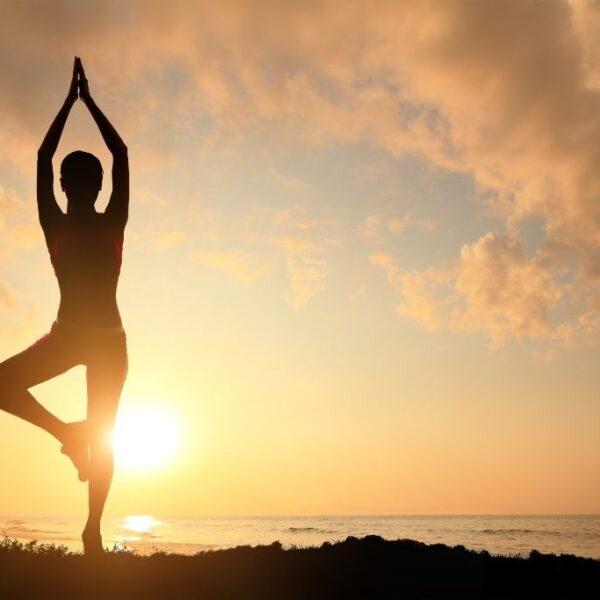 sviluppo-sito-web-per-scuola-di-yoga-conceptio